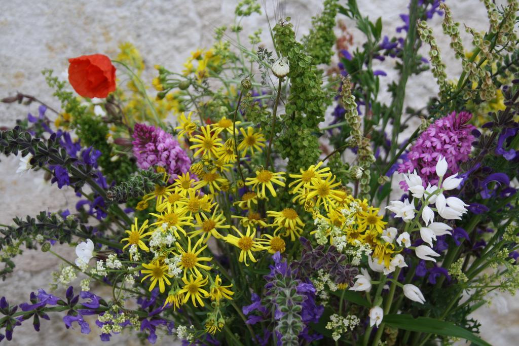 Bed and Breakfast La Perle Du Lot Castelnau-Montratier Exterior foto